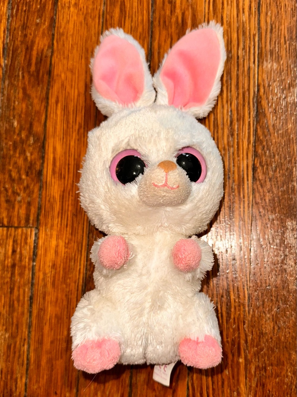 TY Carrots Beanie Boo Bunny Stuffed Animal